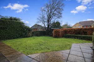 Photo 2- click for photo gallery